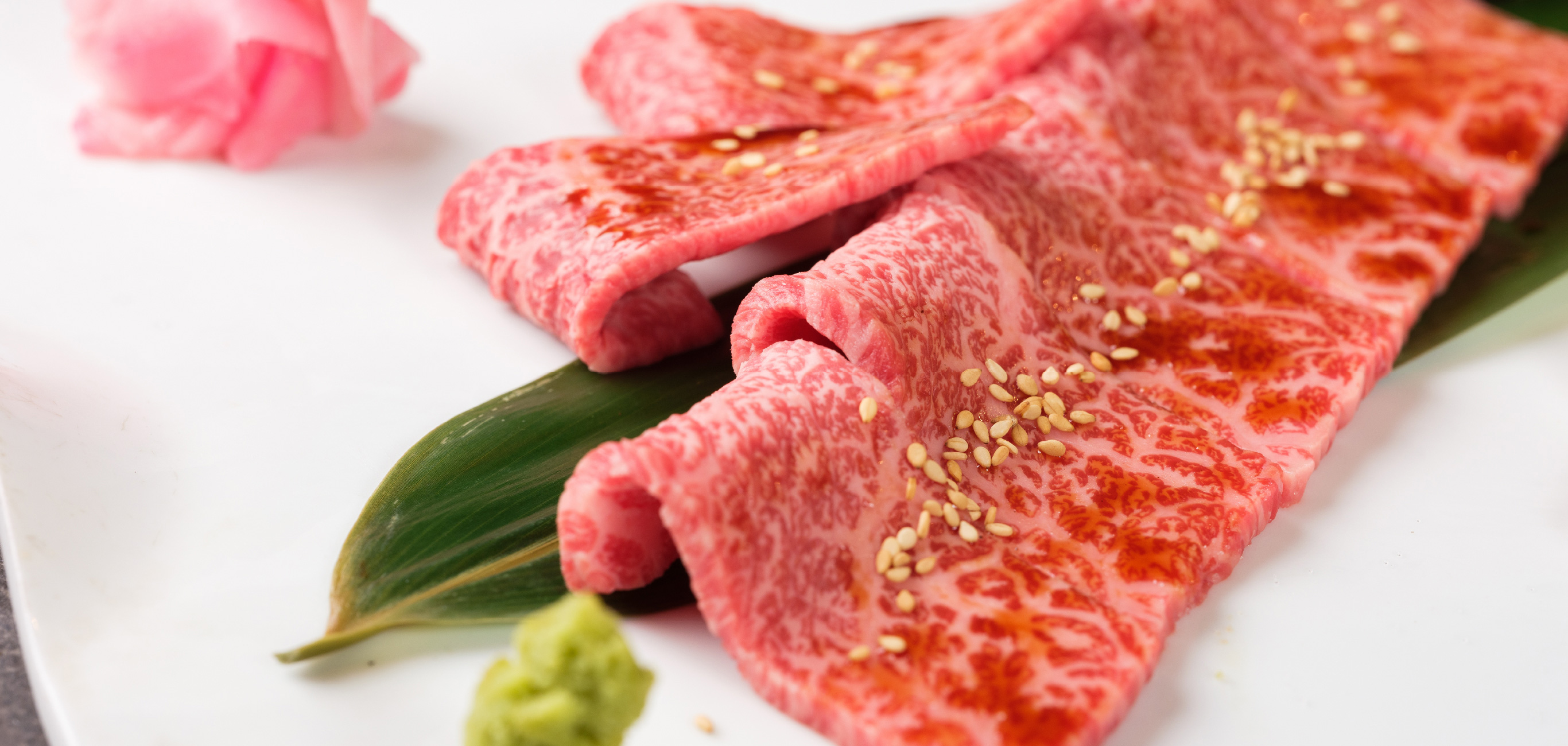 メインイメージ